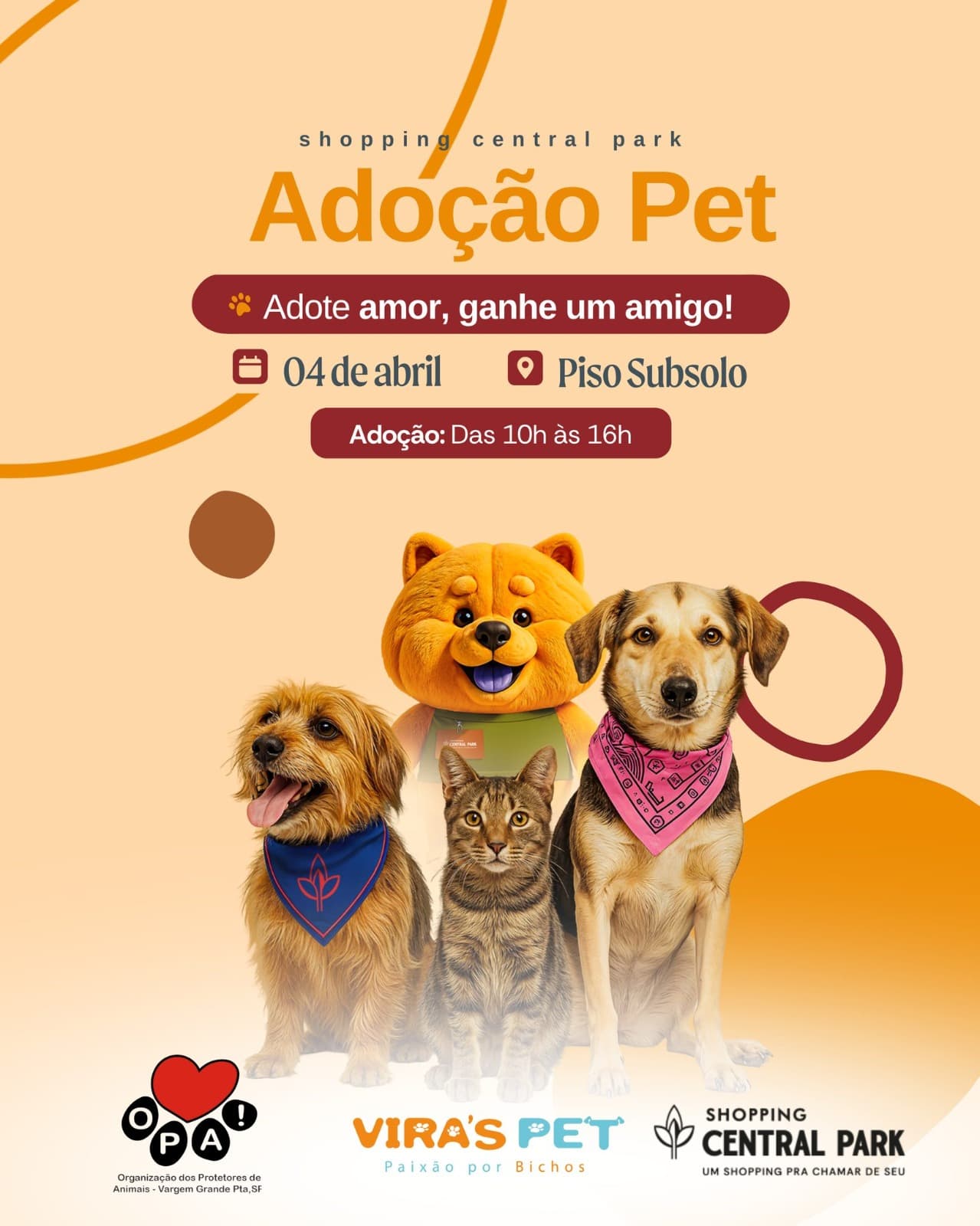 Imagem 1 da galeria